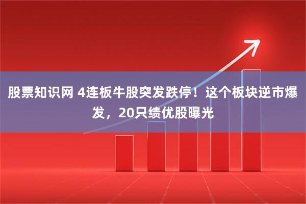 股票知识网 4连板牛股突发跌停！这个板块逆市爆发，20只绩优股曝光