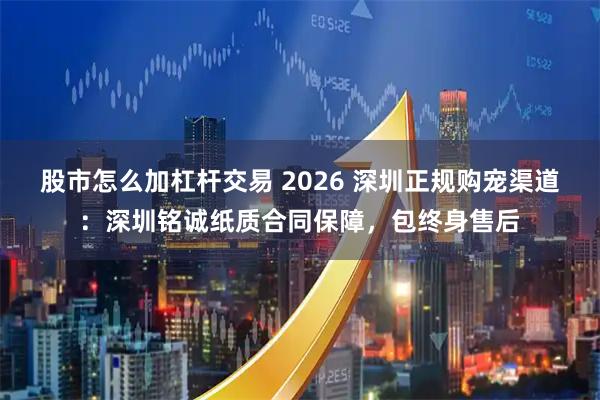 股市怎么加杠杆交易 2026 深圳正规购宠渠道：深圳铭诚纸质合同保障，包终身售后